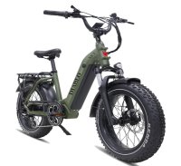 E-Bike E-Fatbike  “Diablo XR1" 25 km/h, 250 Watt, 15Ah 48V 720Wh /army-grün/