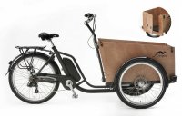 Elektrotransportrad E-Bike Cango Easy BAKFIETS 6 Gang 26 Zoll /grau-matt/