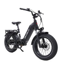 E-Bike E-Fatbike “Diablo XR2" 25 km/h, 20Ah,  48V, 960 Wh Mittelmotor  /schwarz-matt/