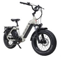 E-Bike E-Fatbike Troy “Diablo XR2" 25 km/h, 15 Ah,  48V, 720Wh Mittelmotor  /grau-matt/