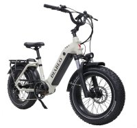 E-Bike E-Fatbike  “Diablo XR2" 25 km/h, 20Ah,  48V, 960Wh Mittelmotor  /grau-matt/