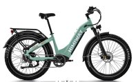 E-Bike HIMIWAY ZEBRA "Step Thru D5" 26 Zoll Schimano 7 Gang LG Batterie 48V 20Ah 960Wh bis 180kg Belastbarkeit /grün/