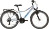 Kinderfahrrad Jugendrad BBF  Outrider Sporty  24 Zoll, 36cm, 7 Gänge /grau/