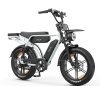 E-Fatbike Pixar  M9  20x4,0 Zoll 7 Gänge, Hydr. Scheibenbremse 2 Akku /Grau/